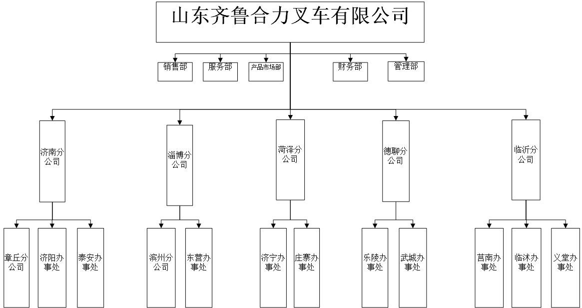 齐鲁BBIN宝盈集团组织机构图.jpg